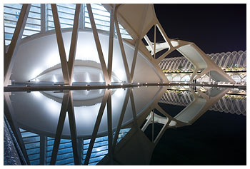 Calatrava - Museo de las Ciencias Pr&iacute;ncipe Felipe